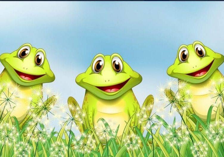 Grafika 1: Warsztaty "Nie bój żaby! Edukacja o płazach" - zapraszamy