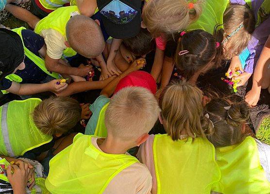 Grafika 2: Zajęcia wakacyjne - dzień pierwszy