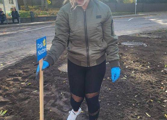 Grafika 2: "Pola Nadziei" - sadzenie cebulek żonkili