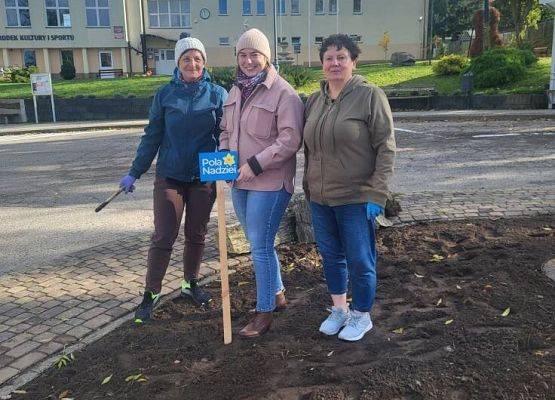 Grafika 5: "Pola Nadziei" - sadzenie cebulek żonkili