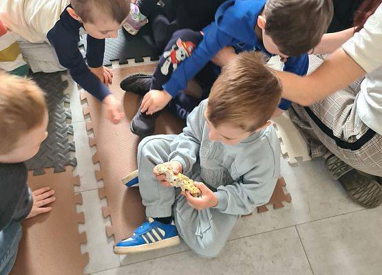 Grafika 5: Spotkanie z edukatorem ze Słowińskiego Parku Narodowego Panem Łukaszem Fuglewiczem